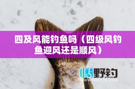 四及风能钓鱼吗（四级风钓鱼迎风还是顺风）
