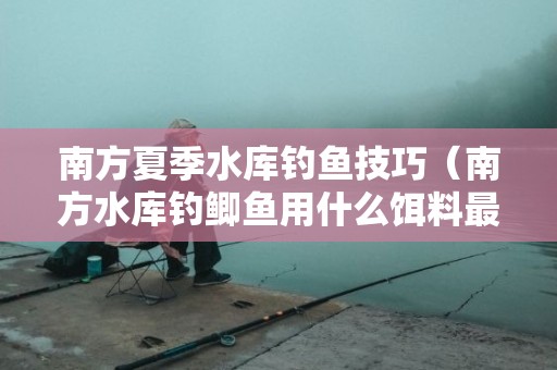南方夏季水库钓鱼技巧（南方水库钓鲫鱼用什么饵料最好）