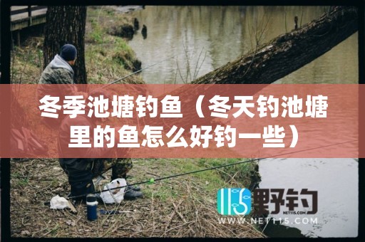 冬季池塘钓鱼（冬天钓池塘里的鱼怎么好钓一些）