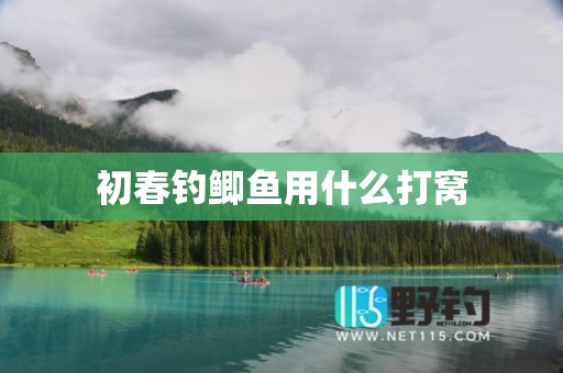 初春钓鲫鱼用什么打窝