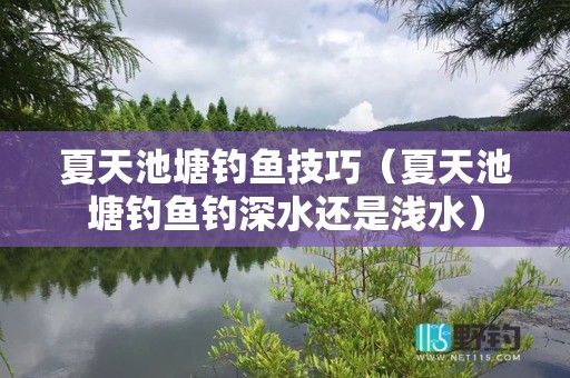 夏天池塘钓鱼技巧（夏天池塘钓鱼钓深水还是浅水）