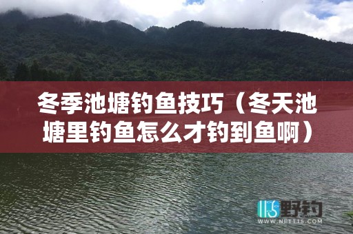 冬季池塘钓鱼技巧（冬天池塘里钓鱼怎么才钓到鱼啊）