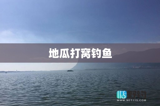 地瓜打窝钓鱼