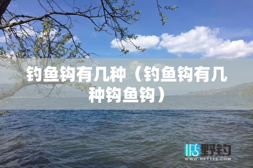 钓鱼钩有几种（钓鱼钩有几种钩鱼钩）
