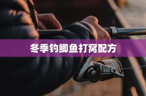 冬季钓鲫鱼打窝配方