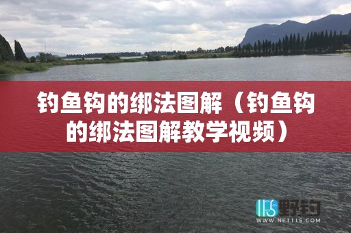 钓鱼钩的绑法图解（钓鱼钩的绑法图解教学视频）