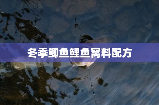 冬季鲫鱼鲤鱼窝料配方