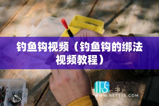 钓鱼钩视频（钓鱼钩的绑法视频教程）