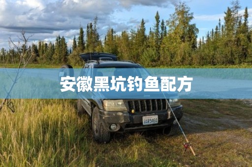 安徽黑坑钓鱼配方