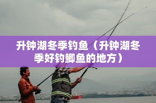 升钟湖冬季钓鱼（升钟湖冬季好钓鲫鱼的地方）