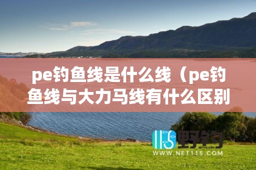 pe钓鱼线是什么线（pe钓鱼线与大力马线有什么区别）