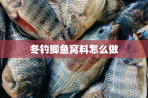 冬钓鲫鱼窝料怎么做