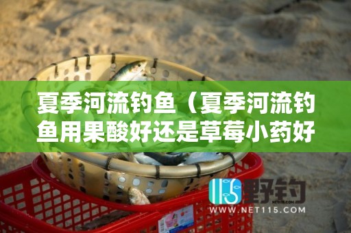 夏季河流钓鱼（夏季河流钓鱼用果酸好还是草莓小药好）