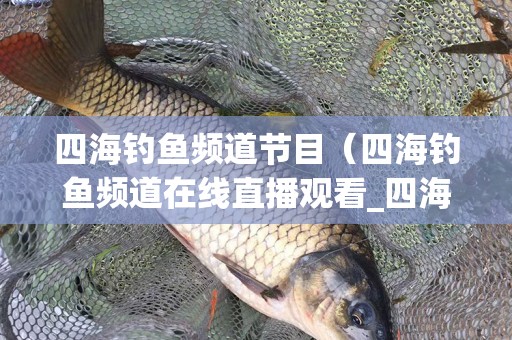 四海钓鱼频道节目（四海钓鱼频道在线直播观看_四海钓鱼频道回看）