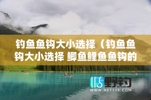 钓鱼鱼钩大小选择（钓鱼鱼钩大小选择 鲫鱼鲤鱼鱼钩的大小说明）