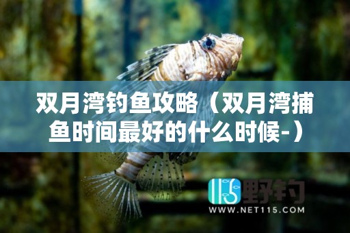 双月湾钓鱼攻略（双月湾捕鱼时间最好的什么时候-）