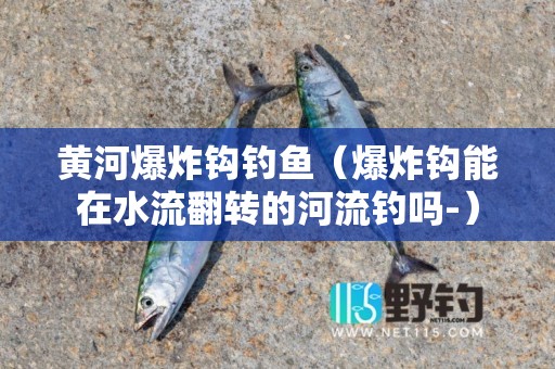 黄河爆炸钩钓鱼（爆炸钩能在水流翻转的河流钓吗-）