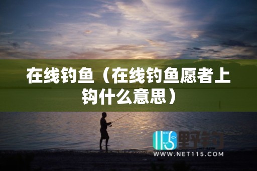 在线钓鱼（在线钓鱼愿者上钩什么意思）