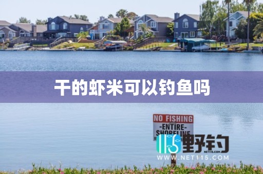 干的虾米可以钓鱼吗