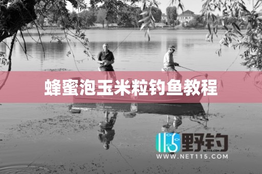 蜂蜜泡玉米粒钓鱼教程