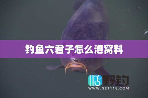 钓鱼六君子怎么泡窝料