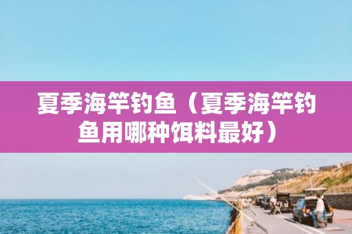 夏季海竿钓鱼（夏季海竿钓鱼用哪种饵料最好）