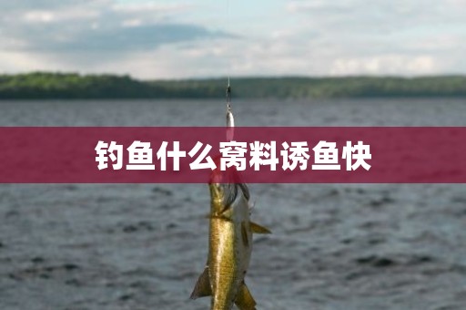 钓鱼什么窝料诱鱼快