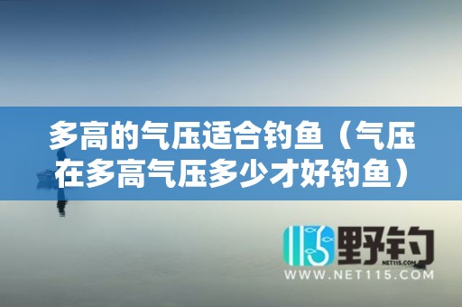 多高的气压适合钓鱼（气压在多高气压多少才好钓鱼）