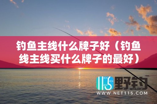 钓鱼主线什么牌子好（钓鱼线主线买什么牌子的最好）