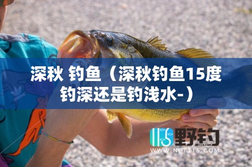 深秋 钓鱼（深秋钓鱼15度钓深还是钓浅水-）