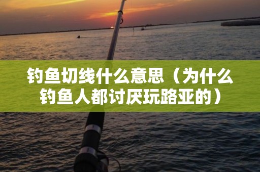 钓鱼切线什么意思（为什么钓鱼人都讨厌玩路亚的）