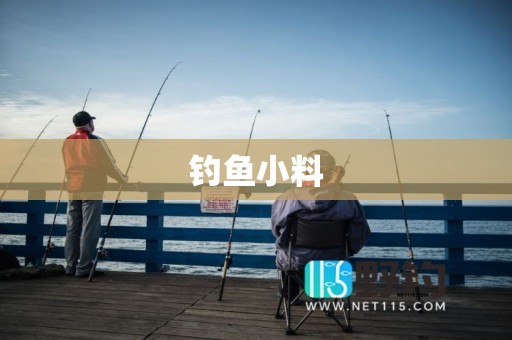 钓鱼小料