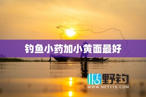 钓鱼小药加小黄面最好
