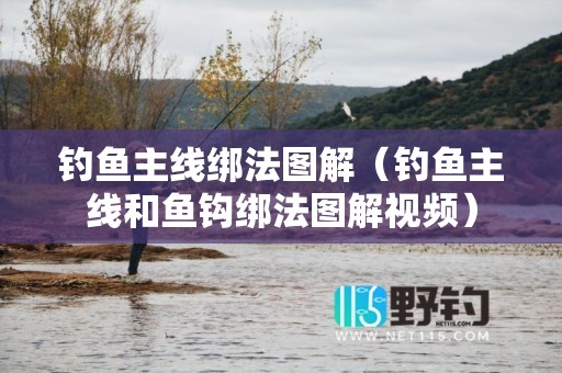 钓鱼主线绑法图解（钓鱼主线和鱼钩绑法图解视频）