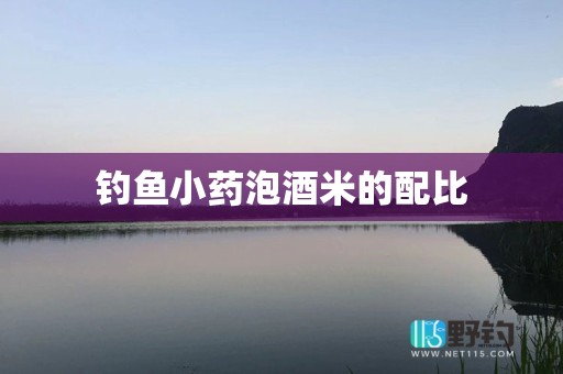 钓鱼小药泡酒米的配比