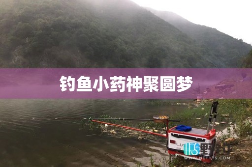 钓鱼小药神聚圆梦