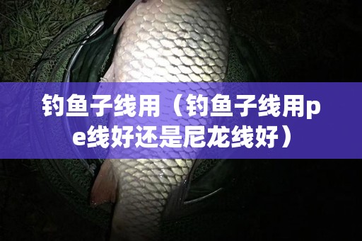 钓鱼子线用（钓鱼子线用pe线好还是尼龙线好）