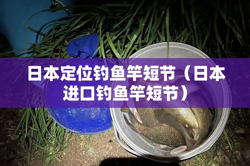 日本定位钓鱼竿短节（日本进口钓鱼竿短节）