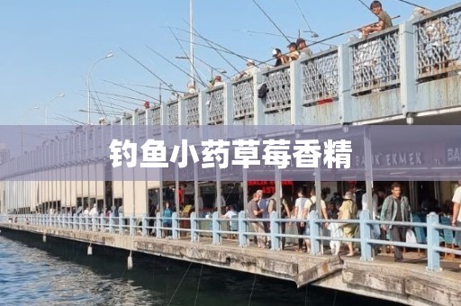 钓鱼小药草莓香精