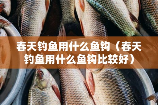 春天钓鱼用什么鱼钩（春天钓鱼用什么鱼钩比较好）