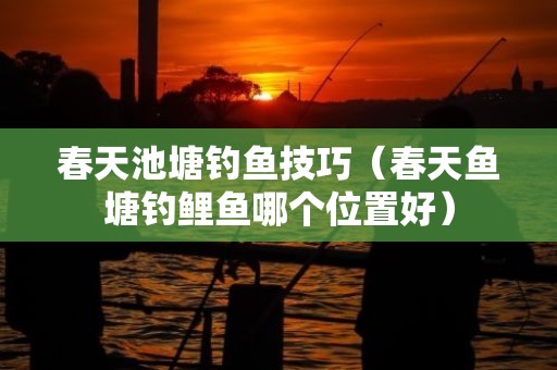 春天池塘钓鱼技巧（春天鱼塘钓鲤鱼哪个位置好）