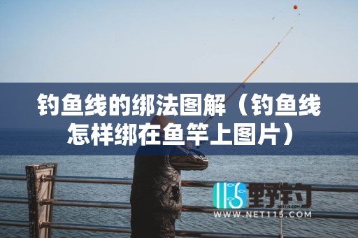 钓鱼线的绑法图解（钓鱼线怎样绑在鱼竿上图片）