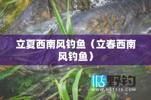 立夏西南风钓鱼（立春西南风钓鱼）