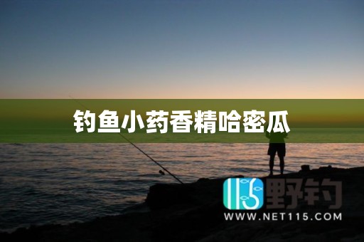 钓鱼小药香精哈密瓜