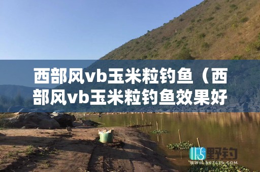 西部风vb玉米粒钓鱼（西部风vb玉米粒钓鱼效果好吗）