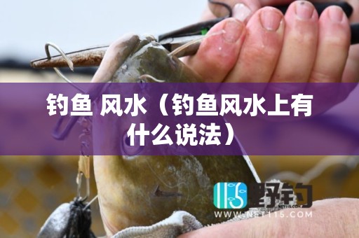 钓鱼 风水（钓鱼风水上有什么说法）