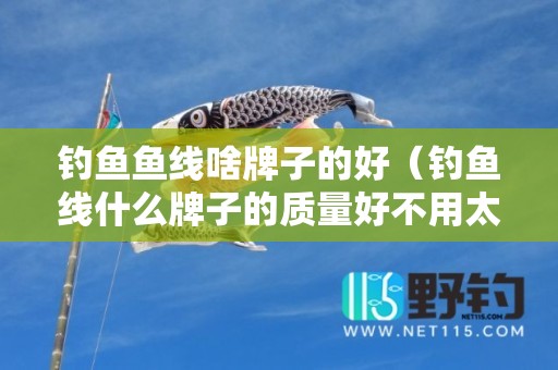 钓鱼鱼线啥牌子的好（钓鱼线什么牌子的质量好不用太贵）