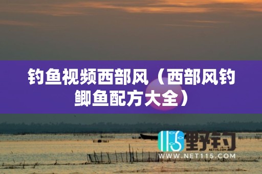 钓鱼视频西部风（西部风钓鲫鱼配方大全）