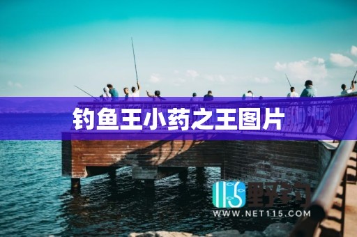 钓鱼王小药之王图片