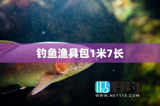 钓鱼渔具包1米7长